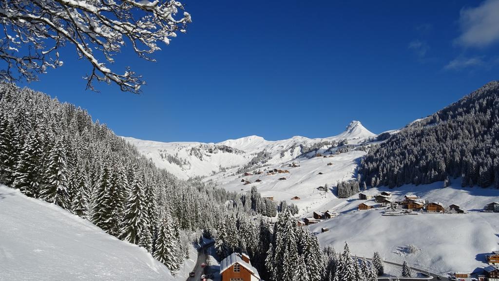 Pension Edelweiss Damuels Exterior foto